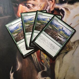 Migration Path Day 4 piece set