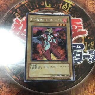 バーストレディ シークレット」の激安通販 | magi