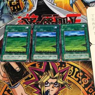 Grasslands 2nd period ver 5 rare set of 3 tera