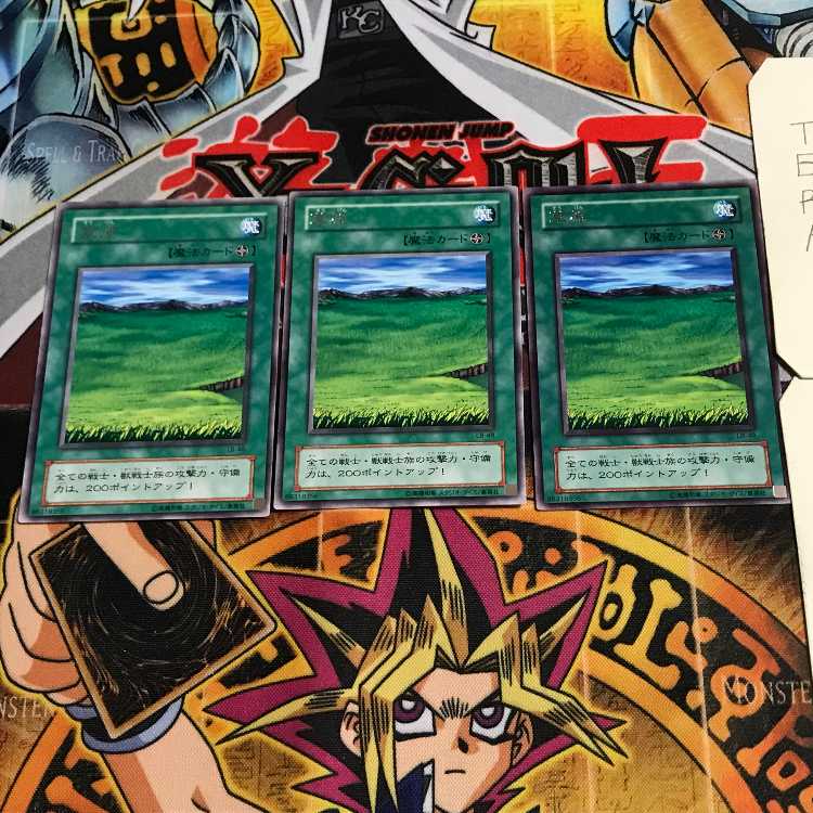 Grasslands 2nd period ver 6 rare set of 3 tera