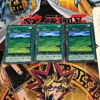 Grasslands 2nd period ver 6 rare set of 3 tera