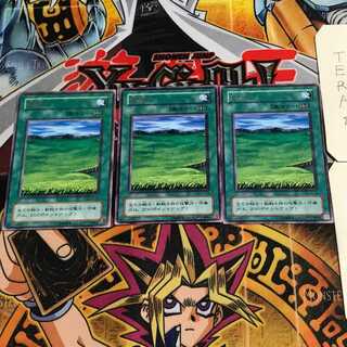 Grasslands 2nd period ver 7 rare set of 3 tera