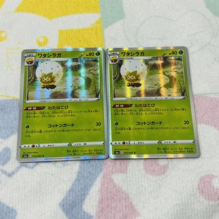 ワタシラガ R 010/069 2枚ｾｯﾄ