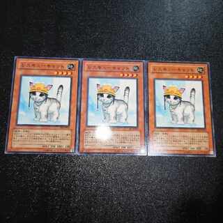 Rescue Cat 3-card set FET-JP033