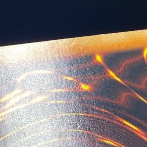 Black Rose Dragon holographic rare JP039