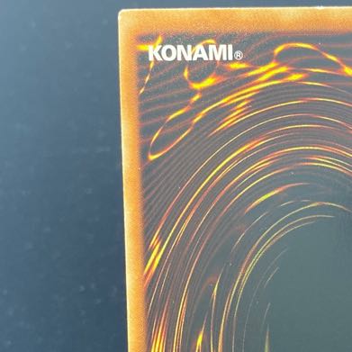 Black Rose Dragon holographic rare JP039