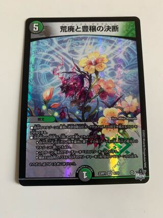 Blight and Abundance Decision VR 8/74