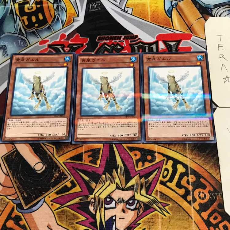 Treeborn Frog 6 Normal Parallel Set of 3 Tera