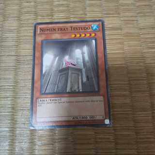 A foreign version of the turtle that was once considered a god