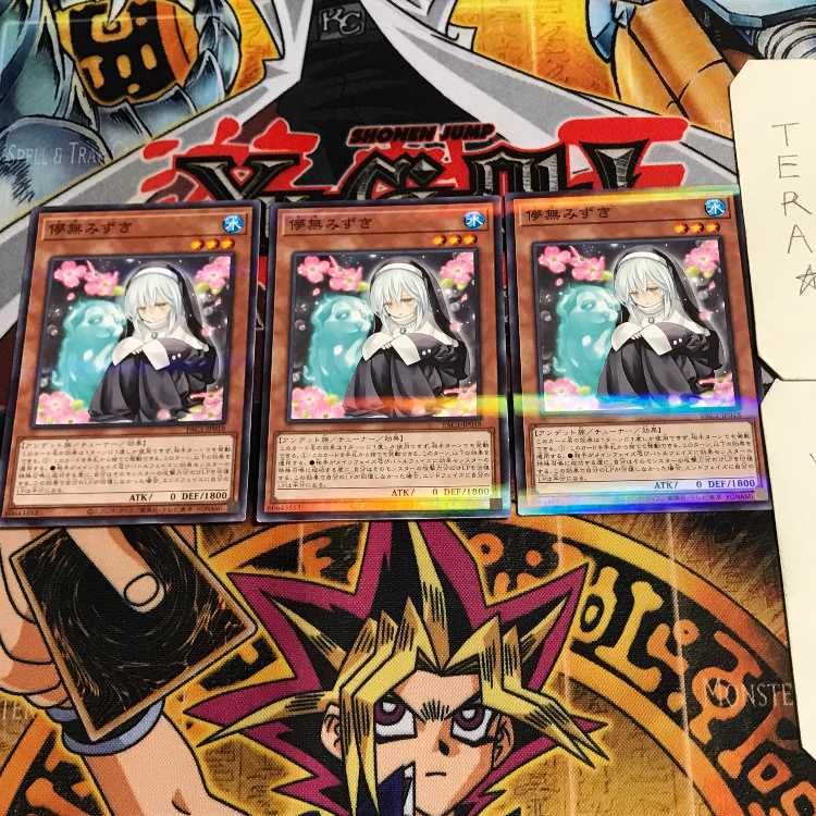 Ghost Sister & Spooky Dogwood 7 Normal Parallel Set of 3 Tera.