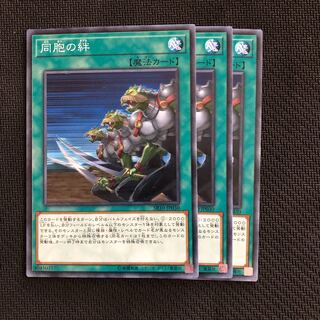 同胞の絆3枚セット