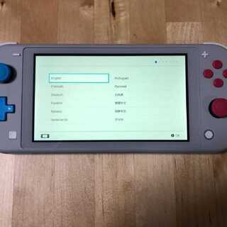専用　　Nintendo Switch Lite 本体のみ