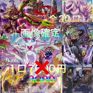 Exclusive for Mameshiba