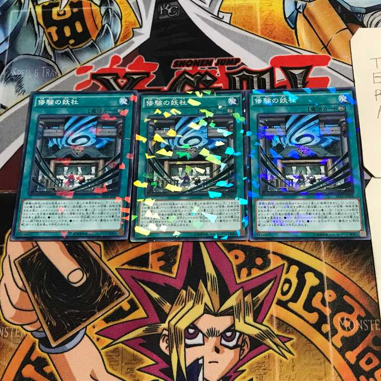 Yosen Training Grounds 5 Normal Parallel Set of 3 Tera.