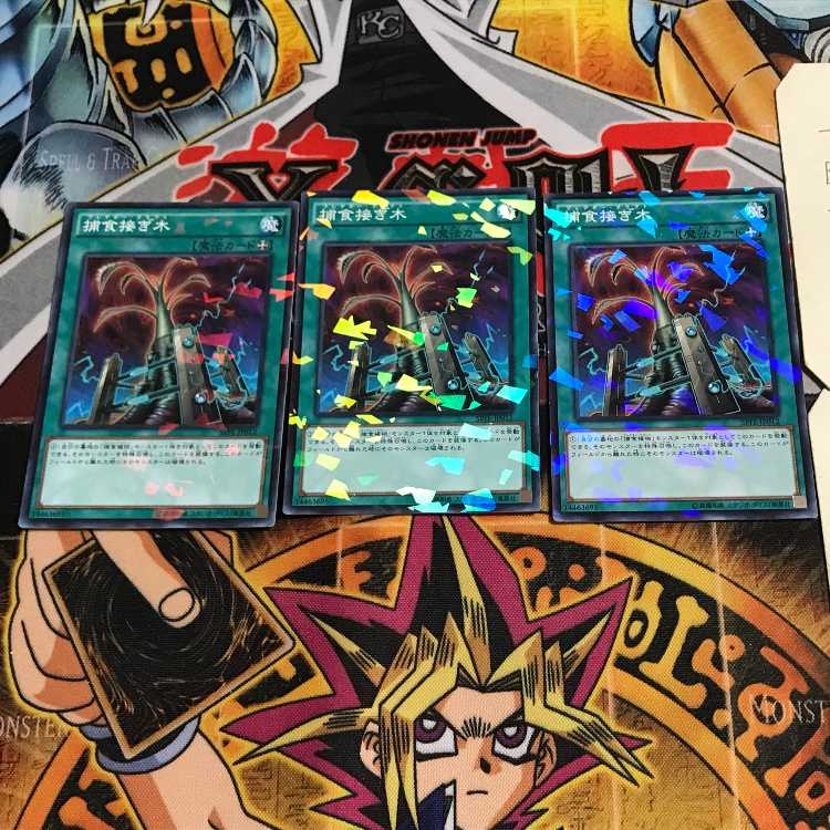 Predapruning 6 Normal Parallel Set of 3 Tera