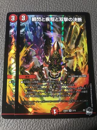 瞬閃と疾駆と双撃の決断 VR ワルスラ