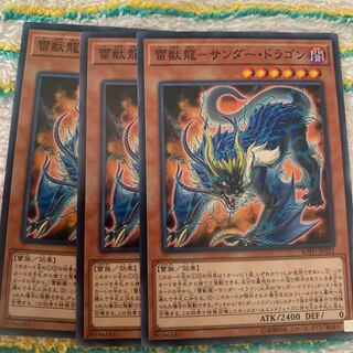 雷獣龍ーサンダー・ドラゴン