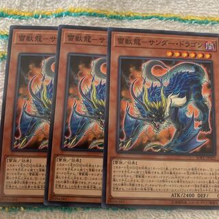 雷獣龍ーサンダー・ドラゴン