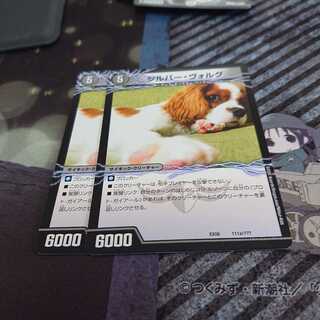 デュエルマスターズ