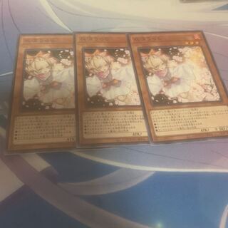 Ash Blossom & Joyous Spring Normal only