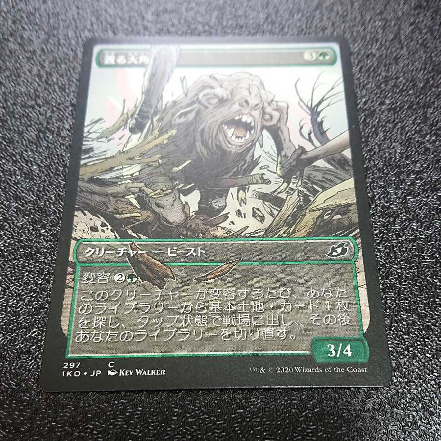 専用ガイガンとコモン 差額支払い用