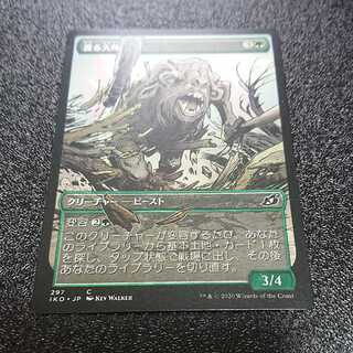 専用ガイガンとコモン 差額支払い用