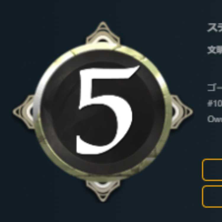 yuki様専用 白5コスト　スピリット