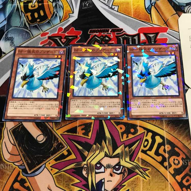 BF - Blizzard in the Far North 8 Normal Parallel Set of 3 Tera.