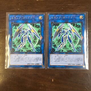 セキュア・ガードナー R 2枚