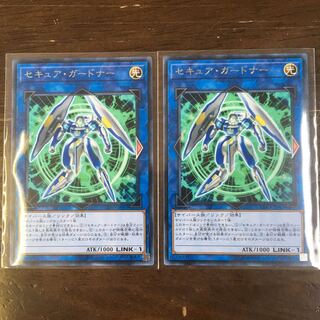 セキュア・ガードナー R 2枚