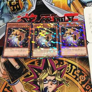 Gem-Armadillo 6 Normal Parallel Set of 3 Tera