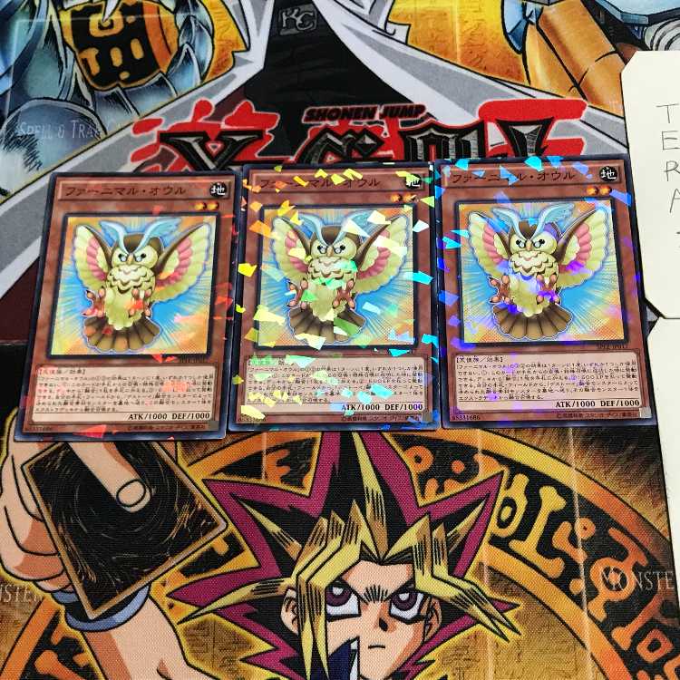 Fluffal Owl 6 Normal Parallel Set of 3 Tera