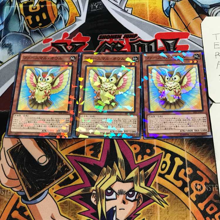 Fluffal Owl 7 Normal Parallel Set of 3 Tera