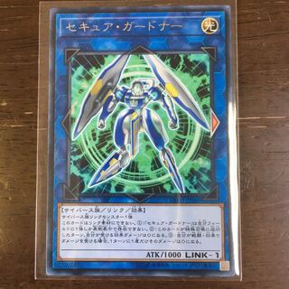 セキュア・ガードナー R 1枚