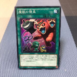 【魔獣の懐柔】ｽｰﾊﾟｰ