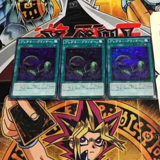 Predaponics 6 Super Set of 3 Tera