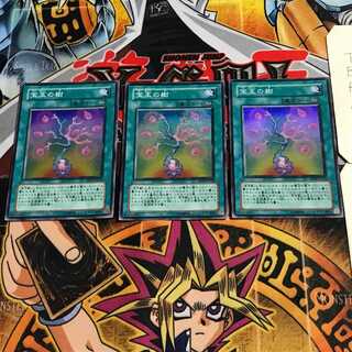 宝玉の樹 6 スーパー 3枚セット てら