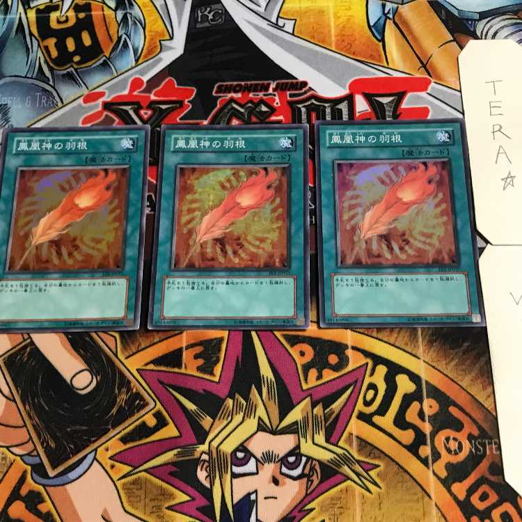 A Feather of the Phoenix 8 Super 3-pc. set Tera