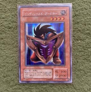 遊戯王　ビッグシールドガードナー　シク