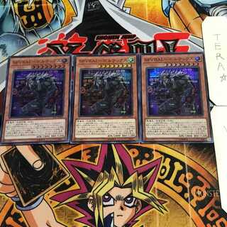 SPYRAL-Vortex 1 Super Set of 3 Tera