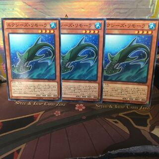 エクシーズ・リモーラ 3枚