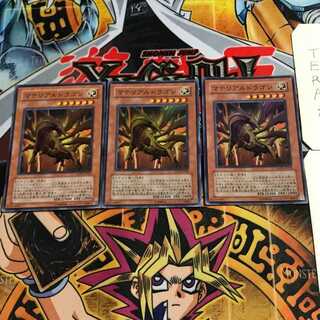 Prime Material Dragon 6 Super Set of 3 Tera