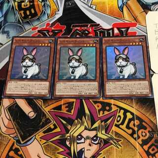 Rescue Rabbit 5 Super Set of 3 Tera