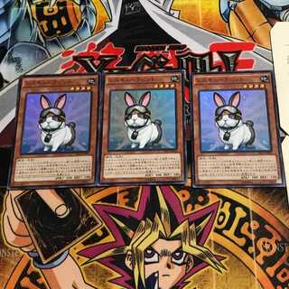 Rescue Rabbit 6 Super Set of 3 Tera