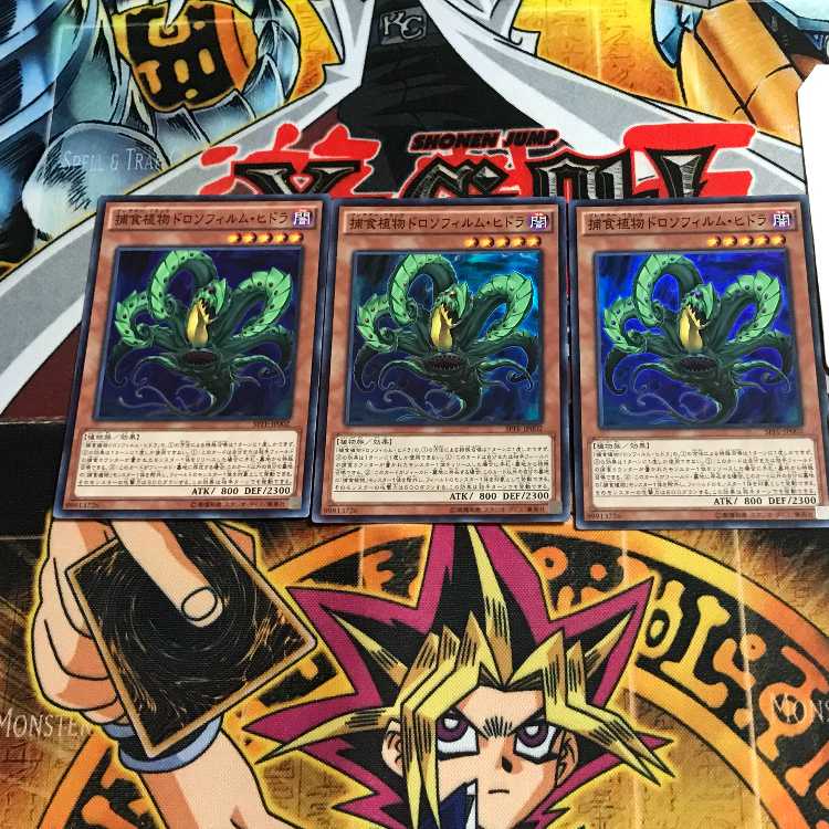 Predaplant Drosophyllum Hydra 3 Super Set of 3 Terra