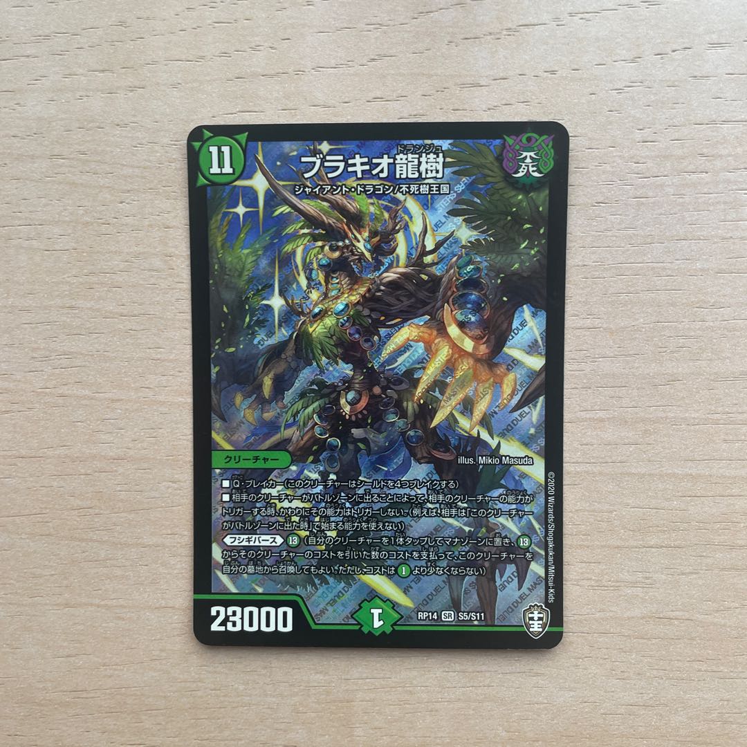 Ryuki Brachio SR S5/S11