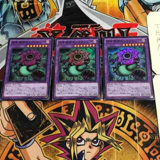 Predaplant Chimerafflesia 4 Super Set of 3 Tera