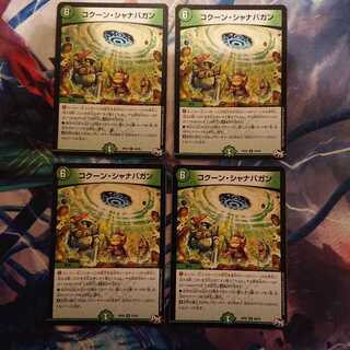 「ジャンク」コクーン・シャナバガン