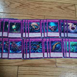 バージェストマデッキパーツセット