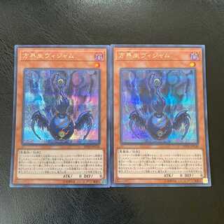 方界胤ヴィジャム シク ２枚　ly131